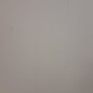 Meet your Posher, Donald